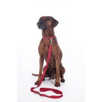 Hundetrainingsleine -Anam Cara- Nylon