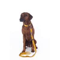 Hundetrainingsleine -Anam Cara- Nylon