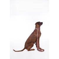Hundetrainingsleine -Anam Cara- Nylon