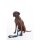 Hundetrainingsleine -Anam Cara- Nylon