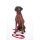 Hundetrainingsleine -Anam Cara- Nylon