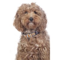 Hundehalsband -Anam Cara- bedruckt