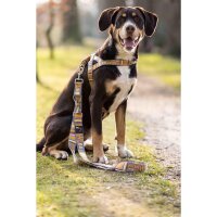 Hundetrainingsleine -Anam Cara- bedruckt