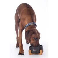 Hundefressnapf -Buddy- Porzellan