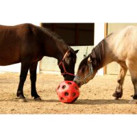 Futterspielball 40cm