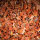 Reiterlive Lucky Topping Karottenwürfel 500gr.