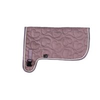 Decke Velvet Hobby Horsing