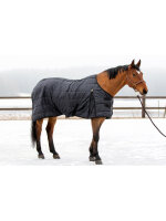 Wahlsten Lari 100G Liner Stable Rug