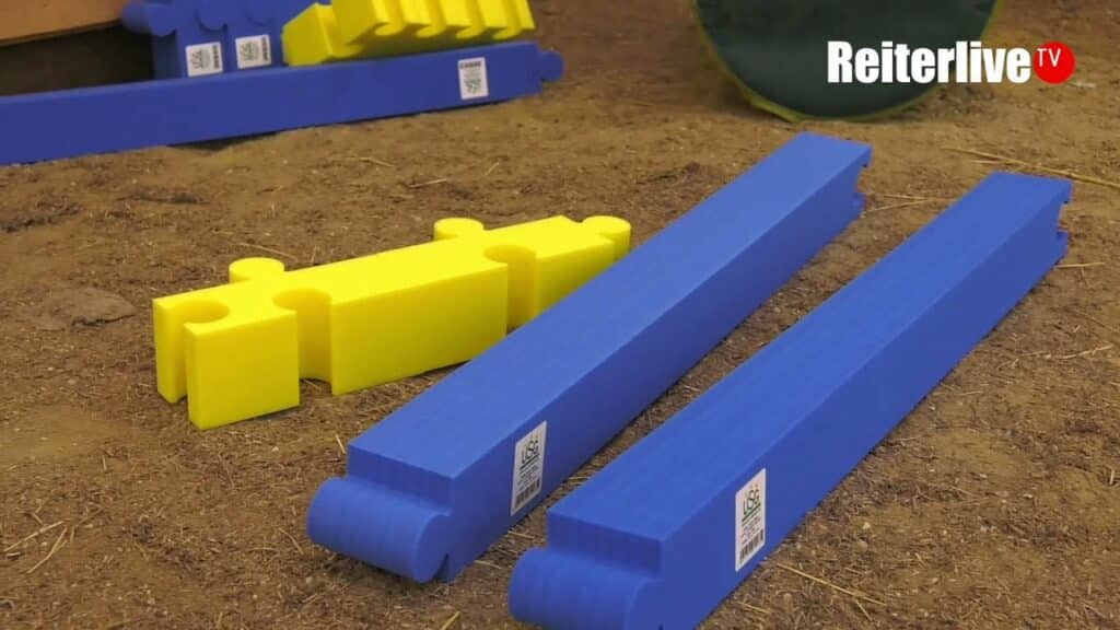 agility puzzle Agility Puzzle