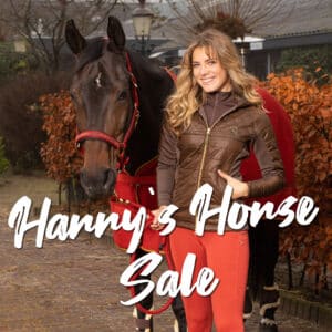 Harrys Horse Sale