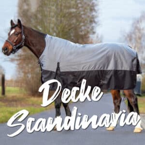 Scandinavia