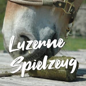 Luzerne Spielzeug