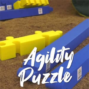 Agility Puzzle