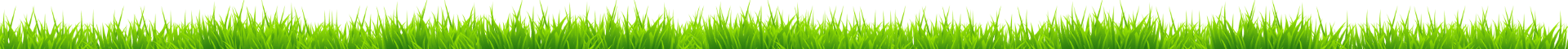 grass2 1 Oster geschenkideen