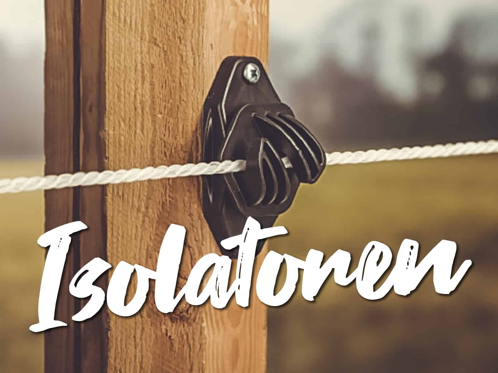 isolatoren featured Reiterlive