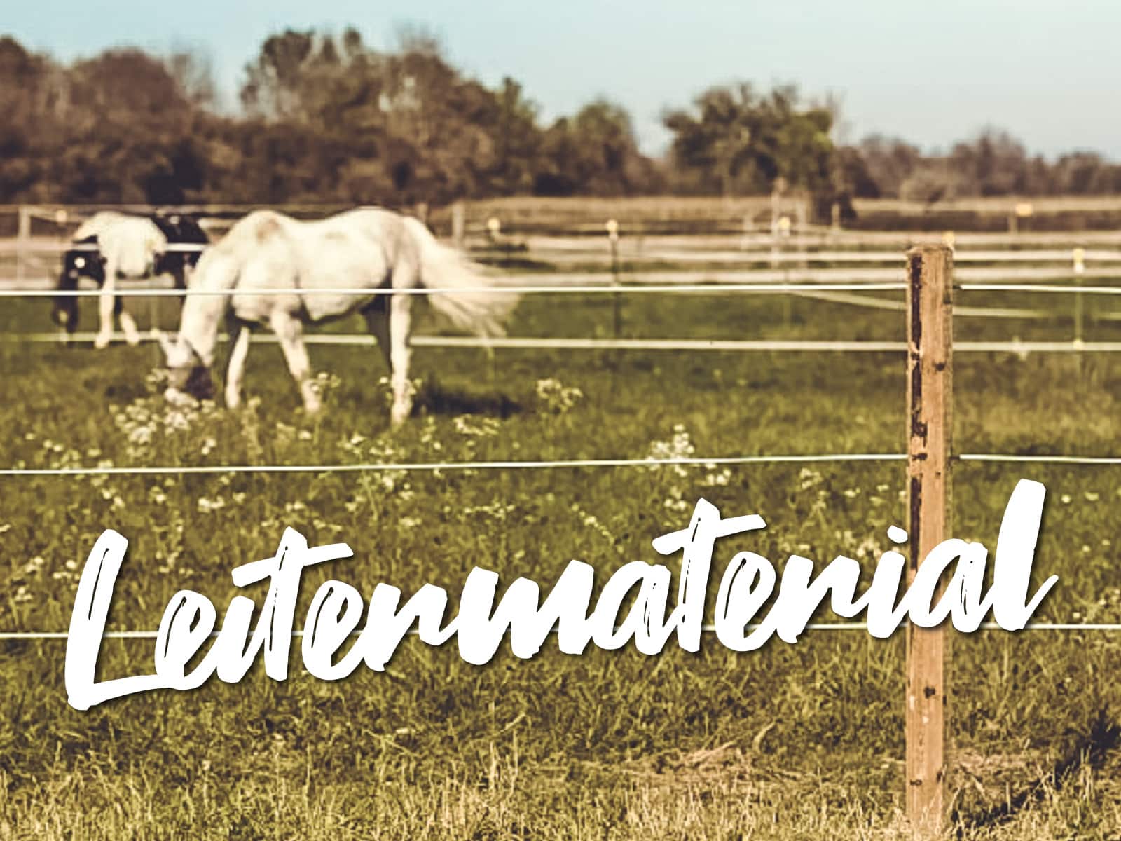 leitermaterial featured Reiterlive