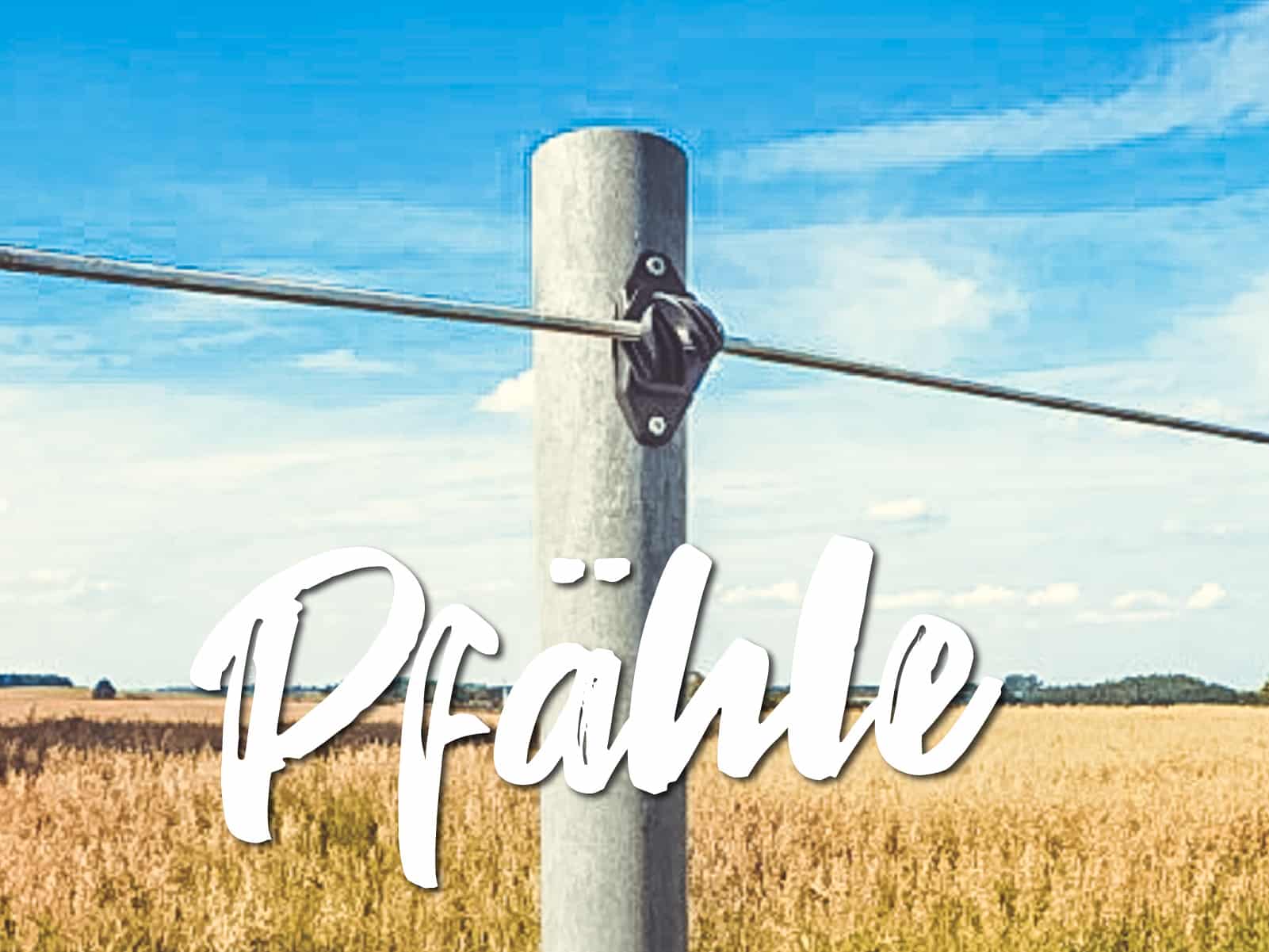 pfahl featured Reiterlive