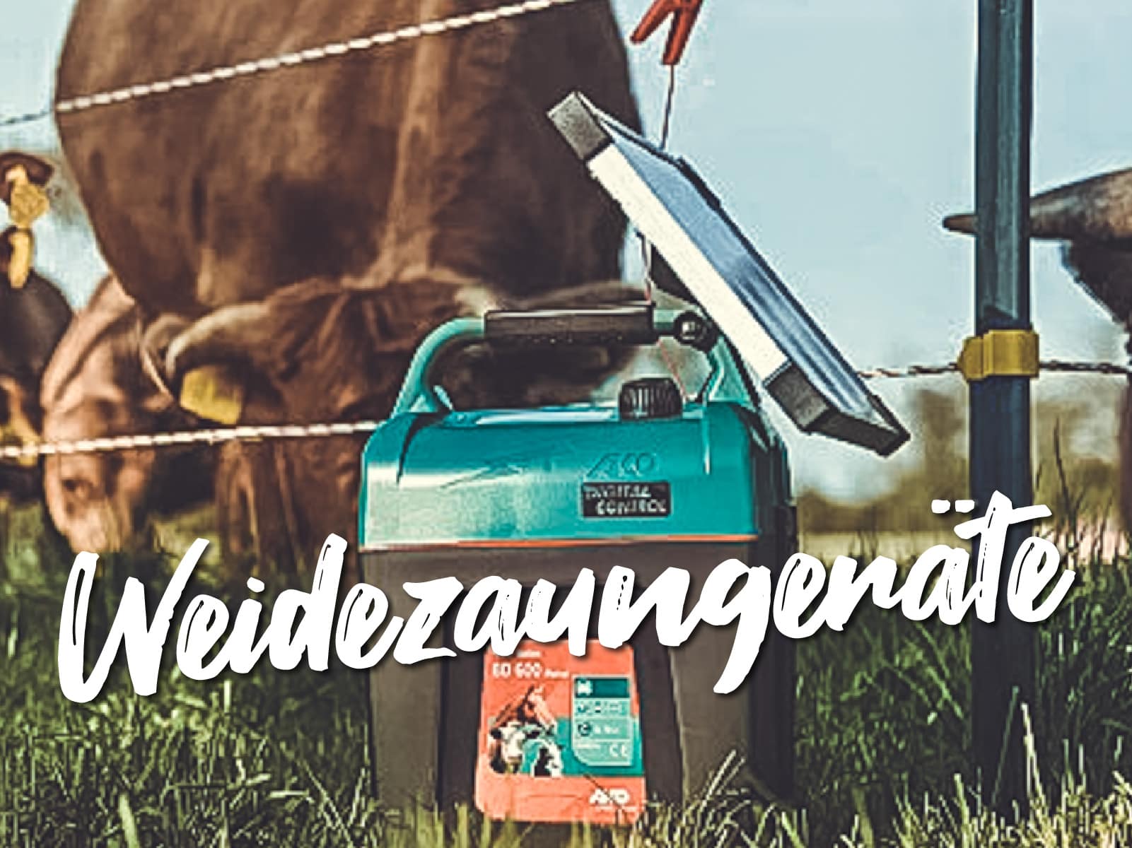 weidezaungeraet featured Weide