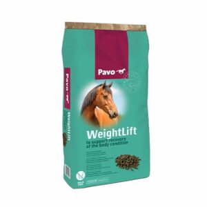 Pavo WeightLift 20kg - 1_reiterlive