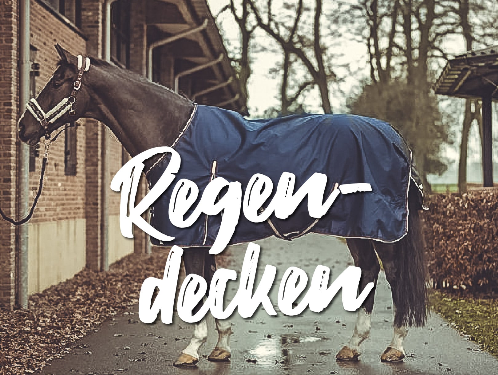 startseite featured Fliegenspray Kopie 9 Reiterlive