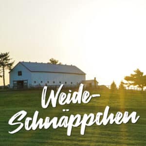 Weideschnäppchen