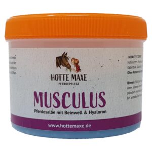 musculus-1200-01.jpg