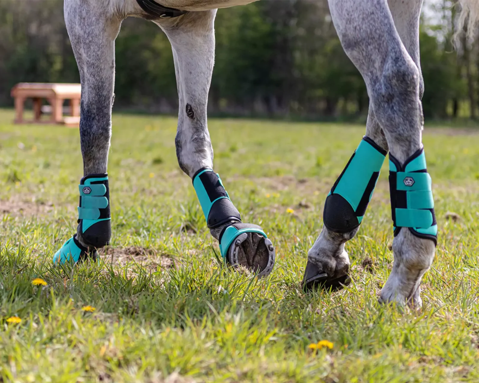 QHP Eventing-Hinterbein-Gamaschen Technical - 3 (Copy).webp