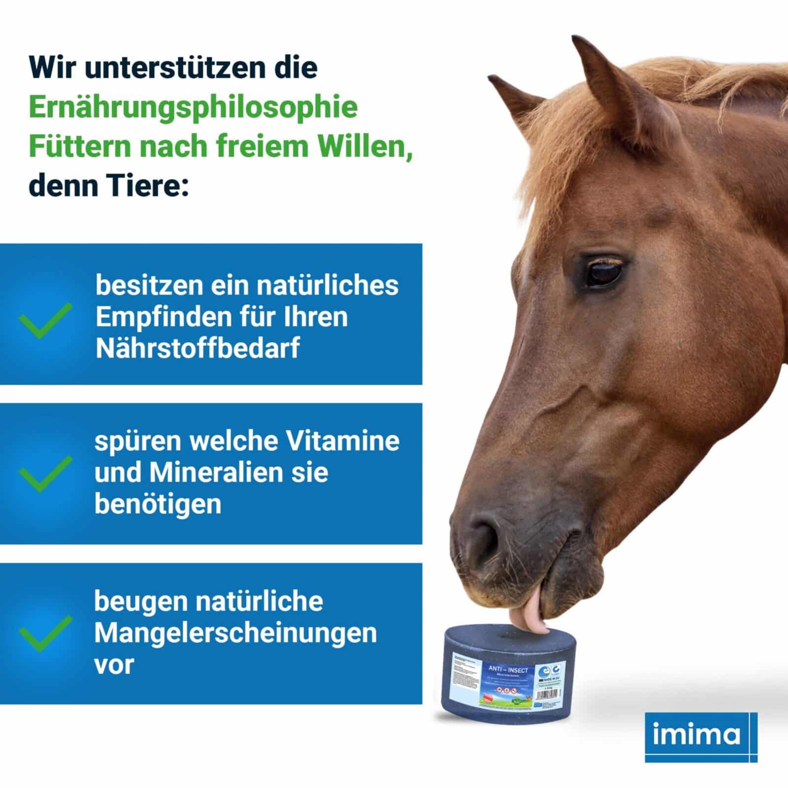 ReiterliveB073ZQWYQX.PT05.jpg