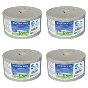 Spirulina 4er.jpg