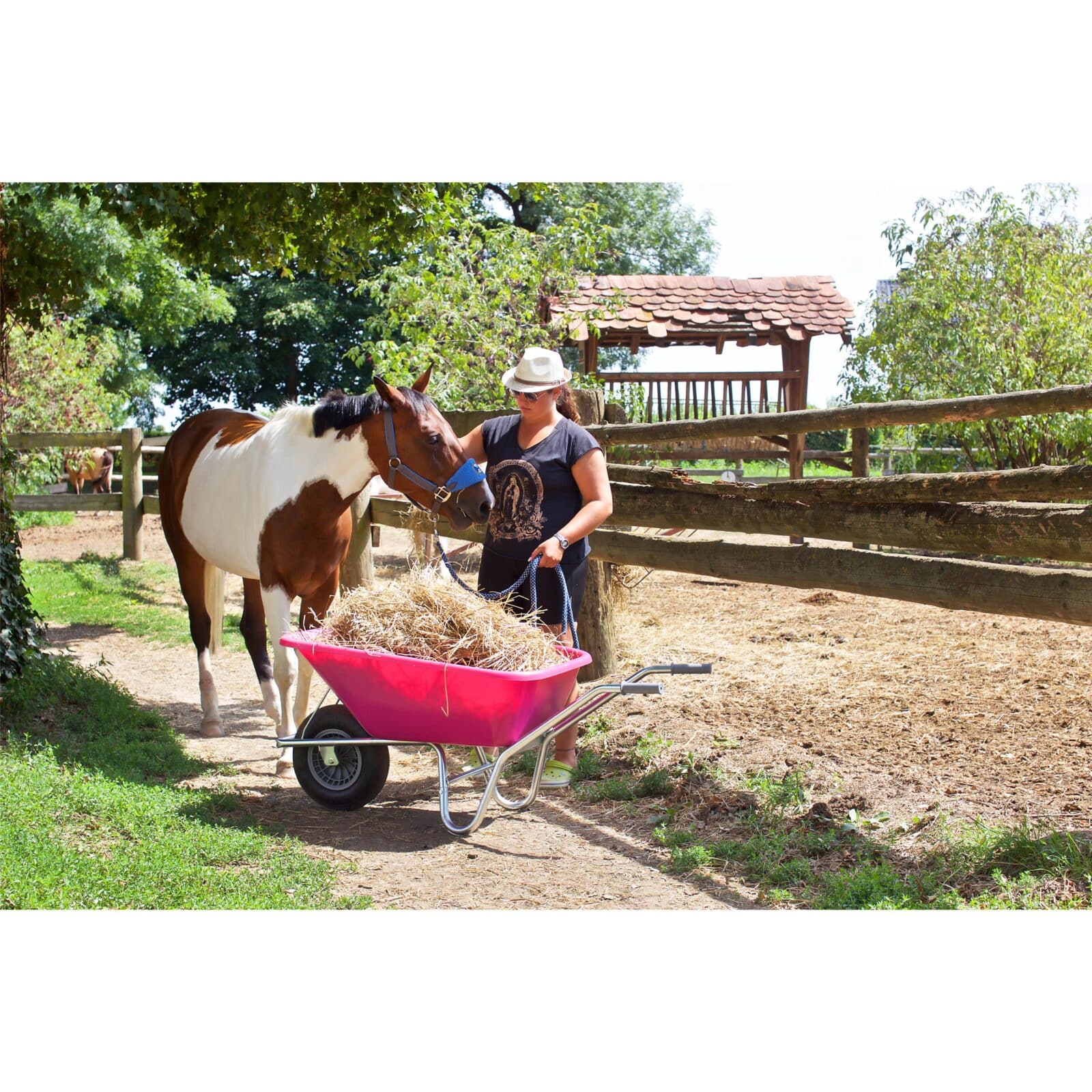 6928 TNT wheelbarrow TNT1 120L pink_3.jpg