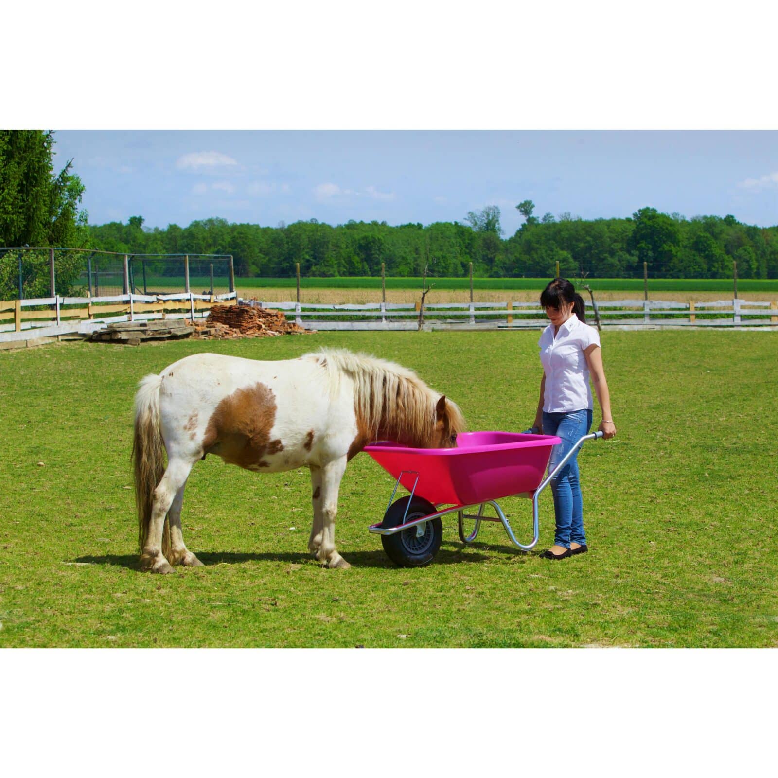 6928 TNT wheelbarrow TNT1 120L pink_7.jpg